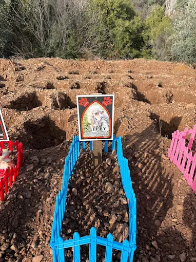 EGE PET anı 20